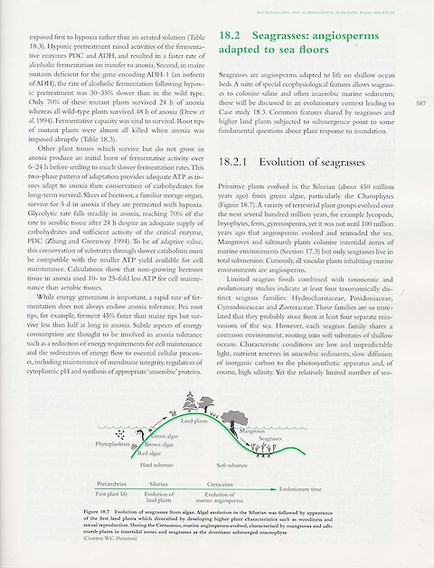 Seagrasses: angiosperms adapted to sea floors (Page 1)