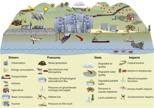 Drivers, pressures, state, and impacts for coastal megacities. (Image source: Sekovski et al. 2011)