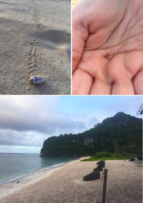 Top: There were hermit crabs at every beach we visited in Guam. Bottom: The second place we snorkeled, which was Tumon Beach. You can see the waves breaking on the reef in the far left of the picture. There is a walkway that takes you along the rocky outcropping in the background of the photo. Photo credit: Alex Fries