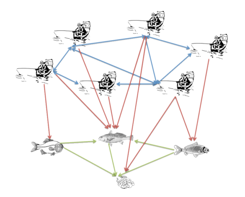 This conceptualization of a social-ecological network comprises three networks: fishermen and their communication ties (blue), fish species interactions (green), and which fish are the target species of each fisherman (green) – links that bridge the social and ecological network. Image Credit: Steven Alexander