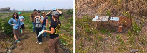 Left: Edith Adkins showed us the Pu'u Wa'aw'a Conservation Area. Right: Mongoose trap at Pu'u Wa'awa'a Conservation Area. Photo credit: Bill Dennison