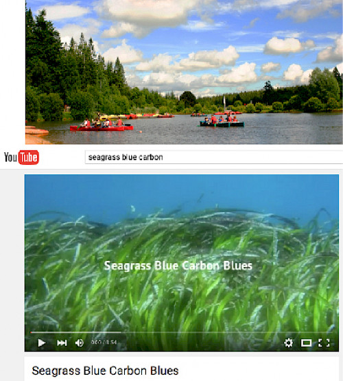 Top: A photo of a kayaking trip, which can be used to enhance written information. Bottom: a video discussing the role of seagrass in sequestering blue carbon. Visual credit: Integration and Application Network