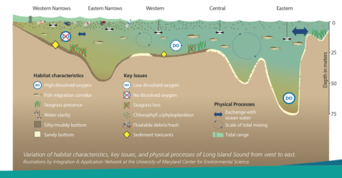 Long Island Sound cross section. This diagram included in the Long Island Sound Report Card displays the influences of the estuary,  highly urbanized watershed.