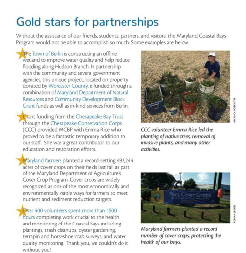 Gold Star page from Coastal Bays Report Card. This section of the Coastal Bays Report Card highlights leadership in the region for protecting and restoring the Coastal Bays of Maryland and Virginia.