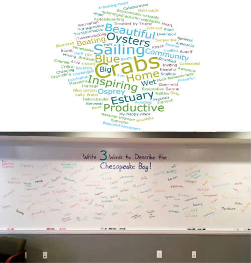 We asked people to write 3 words on our whiteboard walls to describe the Chesapeake bay (bottom). We then created a word cloud from the results (top). Image Credit: Jamie Testa. Photo credit: Bill Dennison