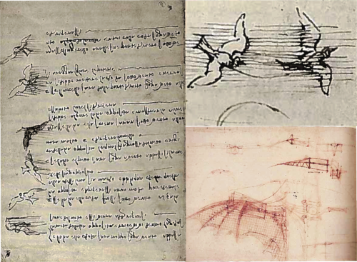 Da Vinci was fascinated by flight, and meticulously studied nature (left, upper right) to produce the design for his flying machine (lower right). Credit: Leonardo's Legacy and Leonardo's Notebooks.
