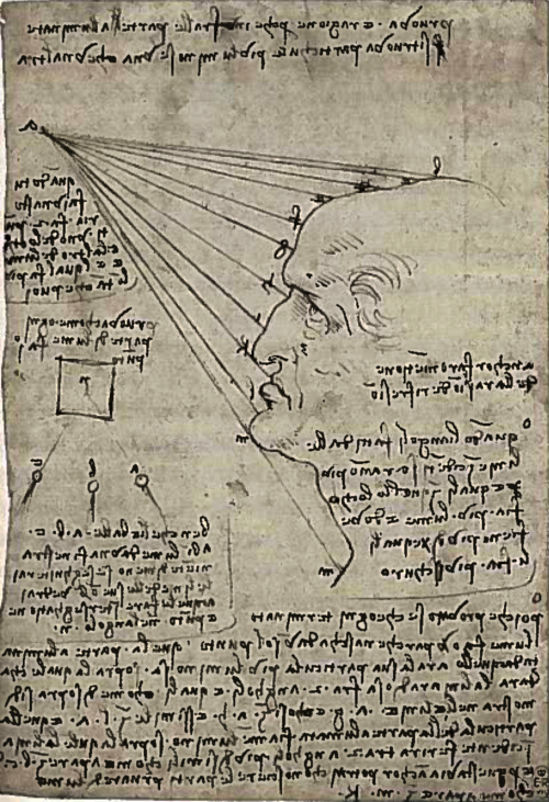 Da Vinci took exact measurements of human head structures to aid his artwork.