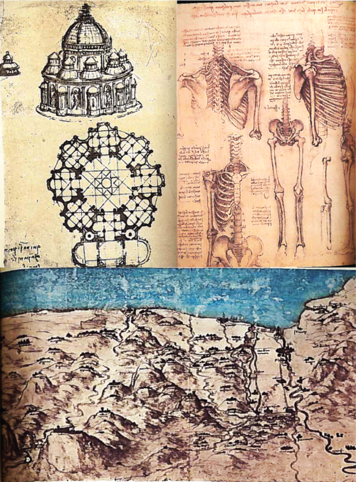 A true Renaissance man, Da Vinci was fascinated by engineering (upper left), anatomy (upper right) and geography (bottom). Credit: Leonardo's Notebooks.