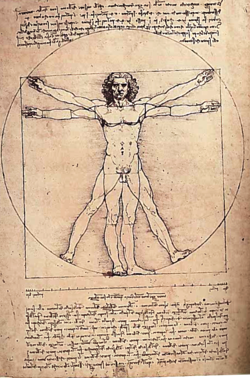 Da Vinci's study of human anatomy eventually produced one of his most famous pieces: the Vitruvian Man. Credit: Leonardo's Notebooks.