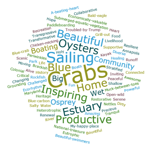 A word cloud about the Chesapeake Bay produced after IAN's Open House. Image credit: Jamie Testa