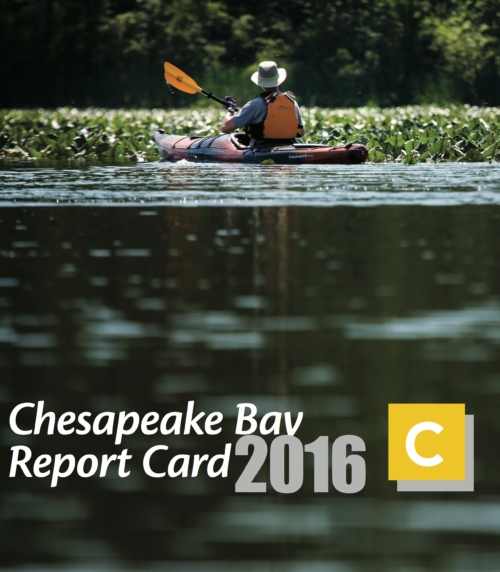 The cover of the 2016 Chesapeake Bay Report Card. Image credit: Integration and Application Network