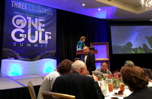 Sylvia Earle gave us an inspiring lunch time talk about research opportunities in the Gulf of Mexico.
