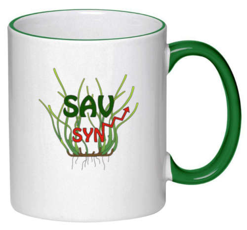 The SAV SYN team produced their own logo, which was then printed onto custom-made coffee mugs. Image credit: Bill Dennison