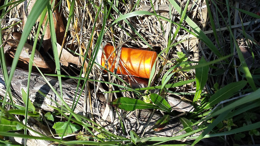 A prescription pill bottle laying in grass and vegetation.