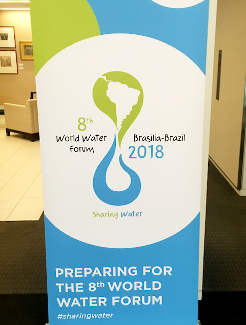 8th World Water Forum Poster. Image credit: Bill Dennison