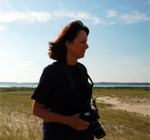 Jane Hawkey photographing on a beach. Photo creditÂ Simon Costanzo