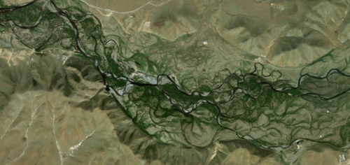Satellite depiction of the Tuul River. The braids and winds can be clearly seen. Image credit Google Maps