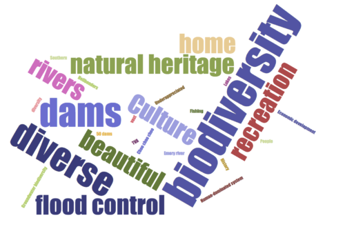 The word cloud that our workshop created. Image credit Bill Dennison
