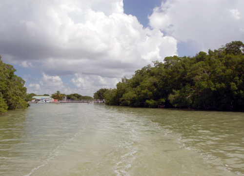 Buttonwood Canal and plug (right of marina building), looking north from Florida Bay. Image credit Alexandra Fries