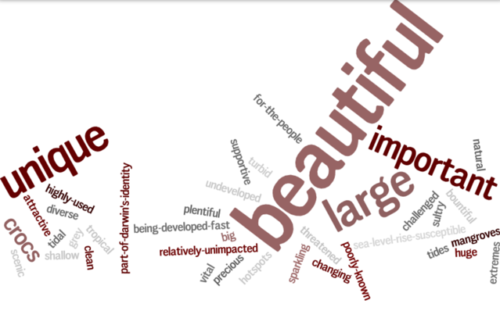 Word cloud created by Jane Thomas. Image credit Bill Dennison