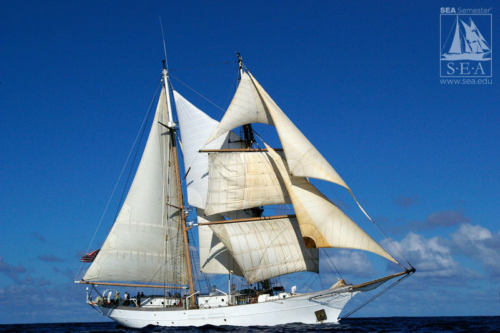 Image of the S/S Corwith Cramer. Image credit here