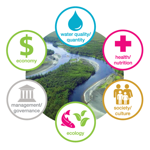 When choosing indicators to use in a report card, consider how diverse categories of basin health will help tell the story of your place.