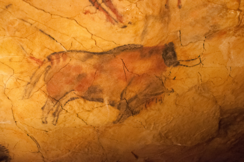 Prehistoric cave painting of a cow. Image credit here