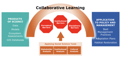 using-the-collaborative-learning-framework-to-improve-ian-s-report-card