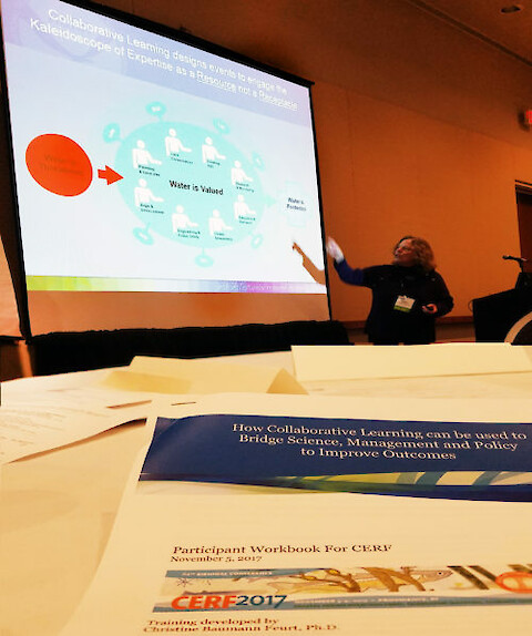 Dr. Chris Feurt facilitated the Collaborative Learning workshop during the CERF conference.