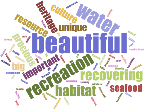 Word cloud generated by participants at Maryland Water Monitoring Council workshop used to describe the Chesapeake Bay.