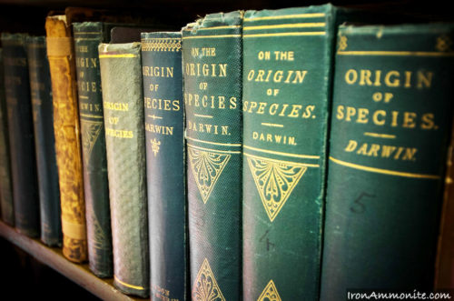 The "On the Origin of Species" book by Charles Darwin. "Origin of Species" by Paul Williams from Flickr is licensed under CC BY-NC 2.0