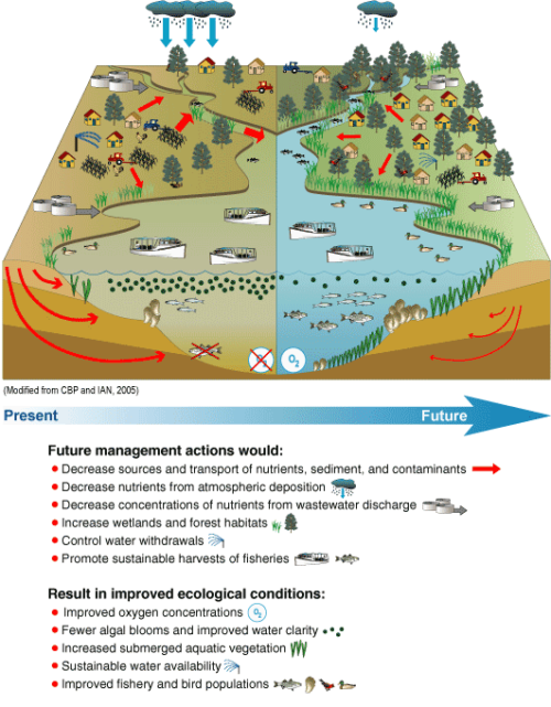 A conceptual diagram illustrating current conditions in the Chesapeake Bay, and how improved management practices could improve the condition of the bay in the future. This diagram is effective because the progression of scenarios is obvious, it uses and clearly defines simple symbols that reflect reality, and it provides a well-written caption explaining itself which also uses the symbols. Image by Scott Phillips in U.S. Geological Survey Chesapeake Bay Studies: Scientific Solutions for a Healthy Bay and Watershed licensed under Section 508.