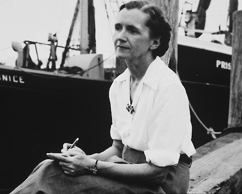 Rachel Carson sitting on a dock, black and white.