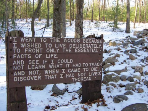 Thoreau's quote on a wooden sign. Qreat Thoreau Quote. Ryan Lowry. Attribution-NoDerivs 2.0 Generic  (CC BY-ND 2.0)