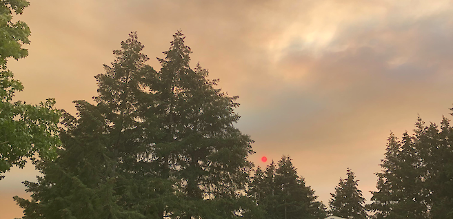 The sky above a line of pine trees is a hazy gray and orange color and the sun appears bright red above the dark trees.