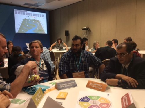 Playing Get the Grade at World Water Forum. Image credit Bill Dennison