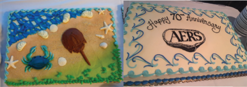 Cakes celebrating the AERS 70th Anniversary. Photos by Daniella Kreeger (left) and Bill Dennison (right).