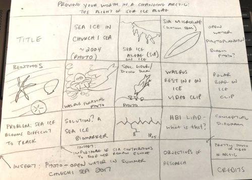 Chelsea Wegner developed this storyboard to sketch out the scenes from a science video.