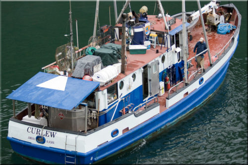 The M/V Curlew. M/V Curlew. Image by Jim Clardy, Licensed under CC BY-NC-SA 2.0