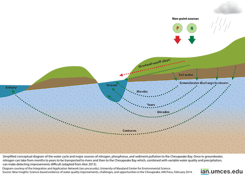 Simplified conceptual diagram of the water cycle and major sources of nitrogen, phosphorus, and sediment pollution to the Chesapeake Bay.