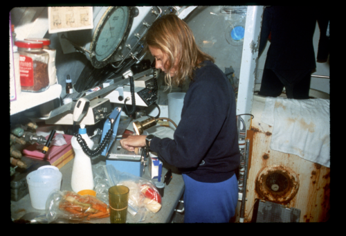 Susan Williams working at lab bench/kitchen counter in Hydrolab. Image credit Bruce Nyde.