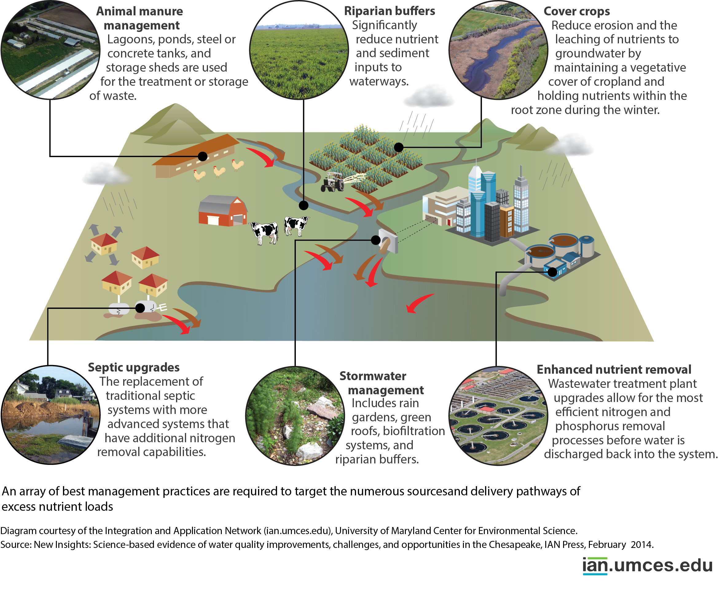 Targeted practices diagram media library integration and