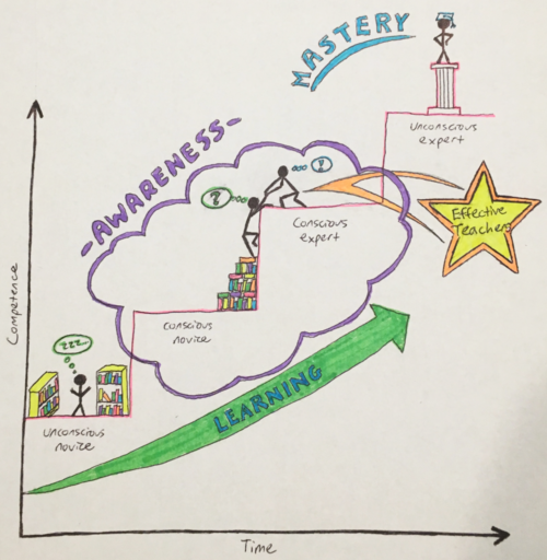 To achieve mastery of a skill or body of knowledge, a student must progress through four stages of learning. Effective teachers are masters who remain aware that their own expertise is not necessarily shared by others. (Drawing by Suzi Spitzer)