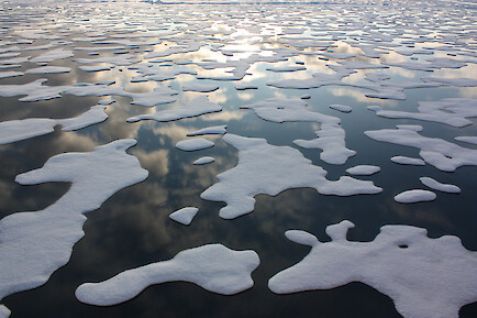 A photo of sea ice from a bird's eye perspective.