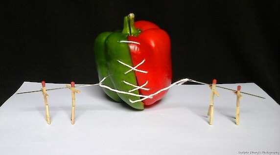 An image showing a red pepper and a green pepper sewn together.