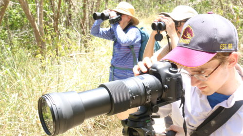 Jamie Currie adjusts his camera while Cari Furiness and Amarilys Irizarry Torres look for wildlife in GuÃ¡nica Dry Forest.