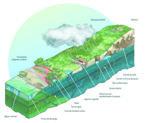 Conceptual diagram showing the connections of surface and groundwater, and Cenotes (Se-NO-tays), an interesting geologic feature of the region.