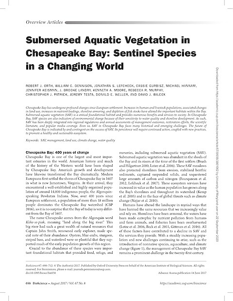 Submersed Aquatic Vegetation in Chesapeake Bay: Sentinel Species in a Changing World (Page 1)