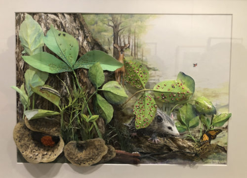 Insects and Opossum in Poison Ivy, by Robin Brickman.