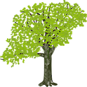 Symbol of an American Sycamore that would be growing along a riverbank in a riparian zone, with one branch hanging out over the river or stream.